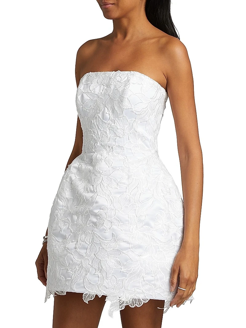 Sarah Lace Minidress