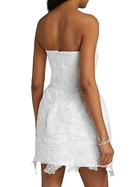 Sarah Lace Minidress