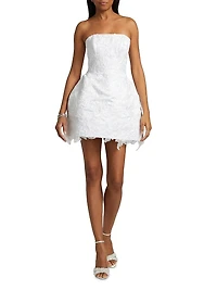 Sarah Lace Minidress