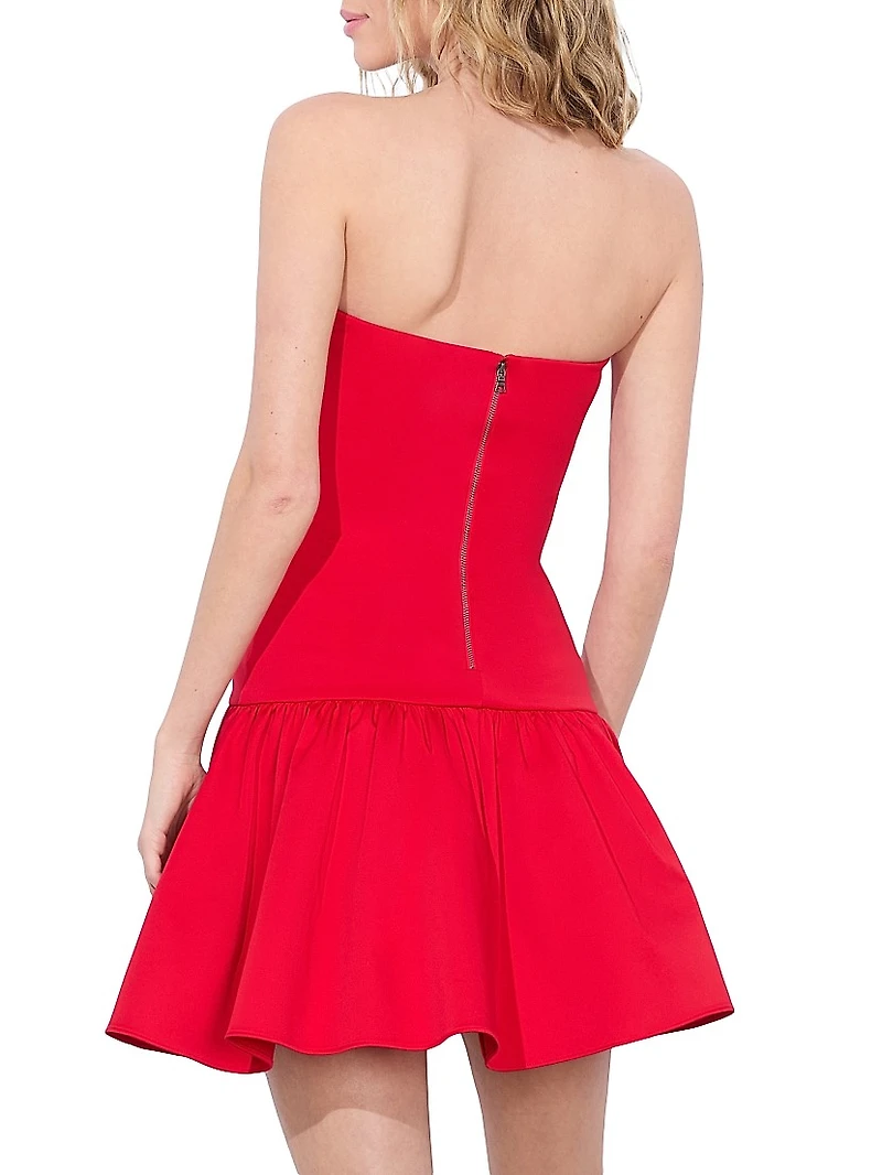 Oriana Straplesss Drop Waist Minidress