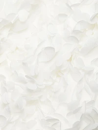 Flower Petal Sleeveless Midi-Dress