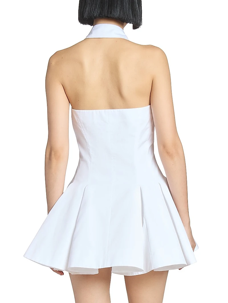 Cotton Poplin Fit & Flare Minidress