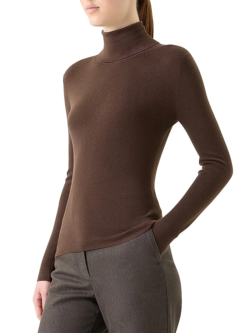 Virgin Wool Turtleneck Sweater