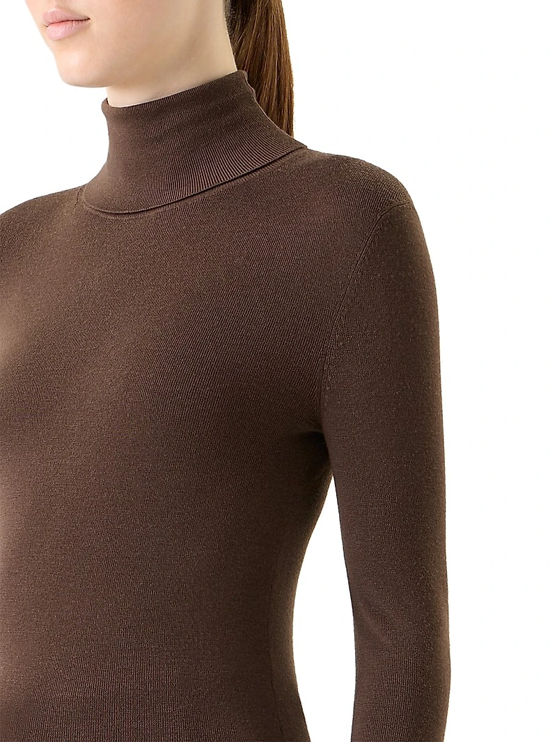 Virgin Wool Turtleneck Sweater