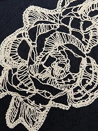 Embroidered Lace A-Line Midi-Skirt