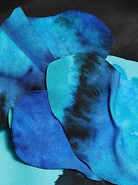 Parrfold Peal Appliqué Midi-Dress