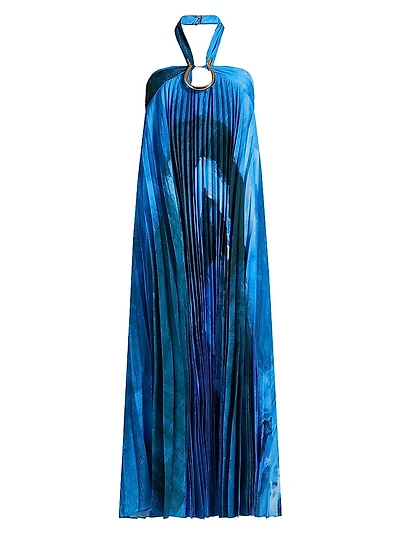 Askham Embellished Pleated Printed Maxi Dress