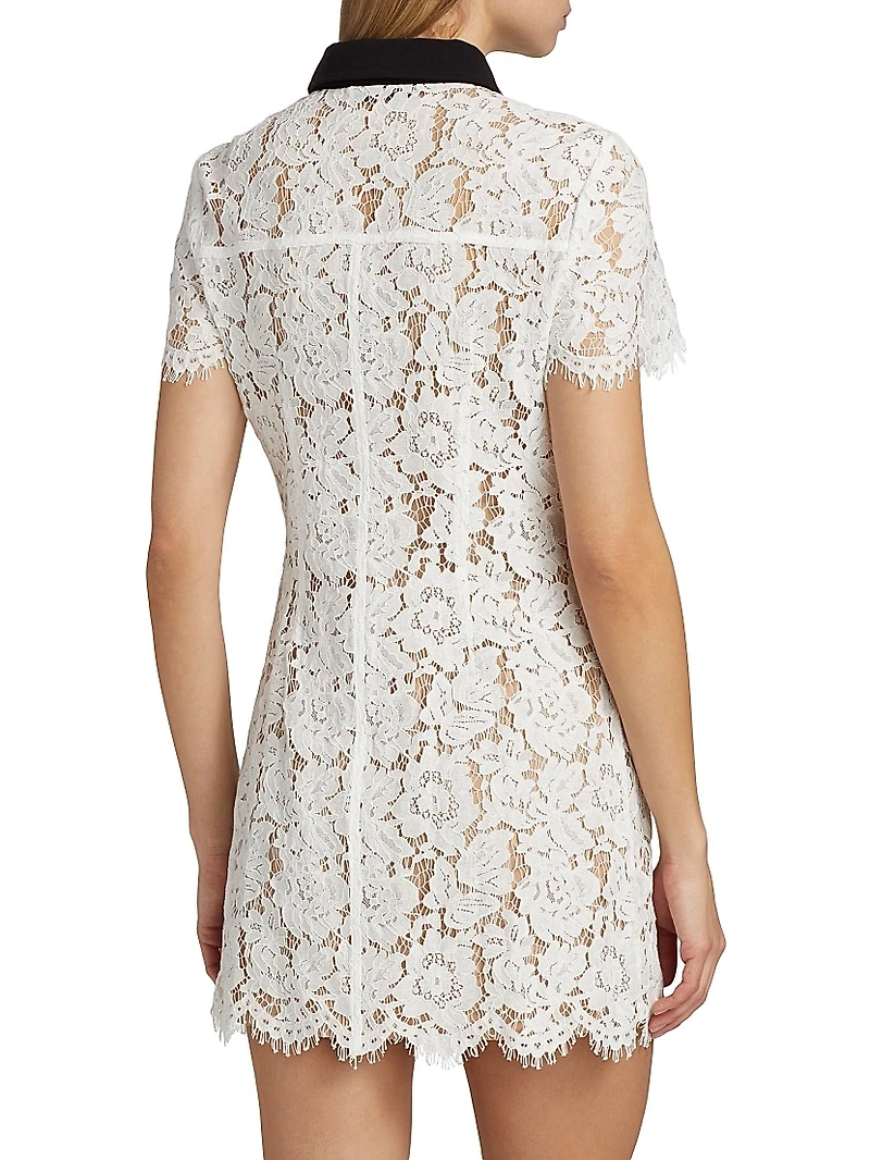 Lace Contrast Collar Minidress