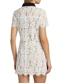 Lace Contrast Collar Minidress