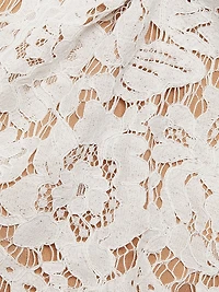 Lace Contrast Collar Minidress