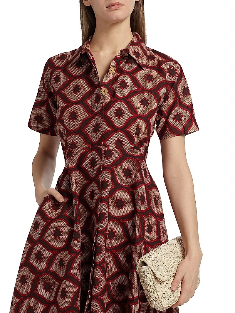 Feyi Printed Midi-Dress