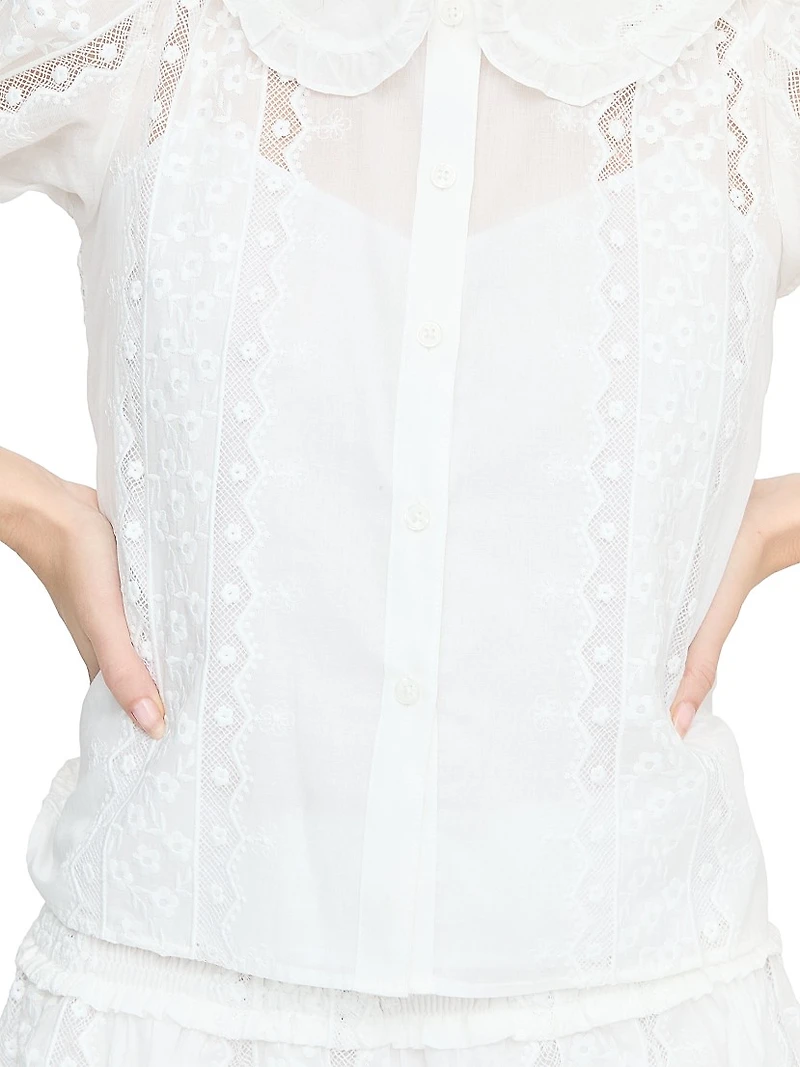The Adelaide Top