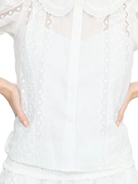 The Adelaide Top