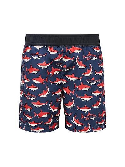 Little Boy's & Swim Trunks