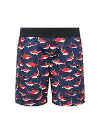 Little Boy's & Swim Trunks
