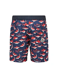 Little Boy's & Swim Trunks