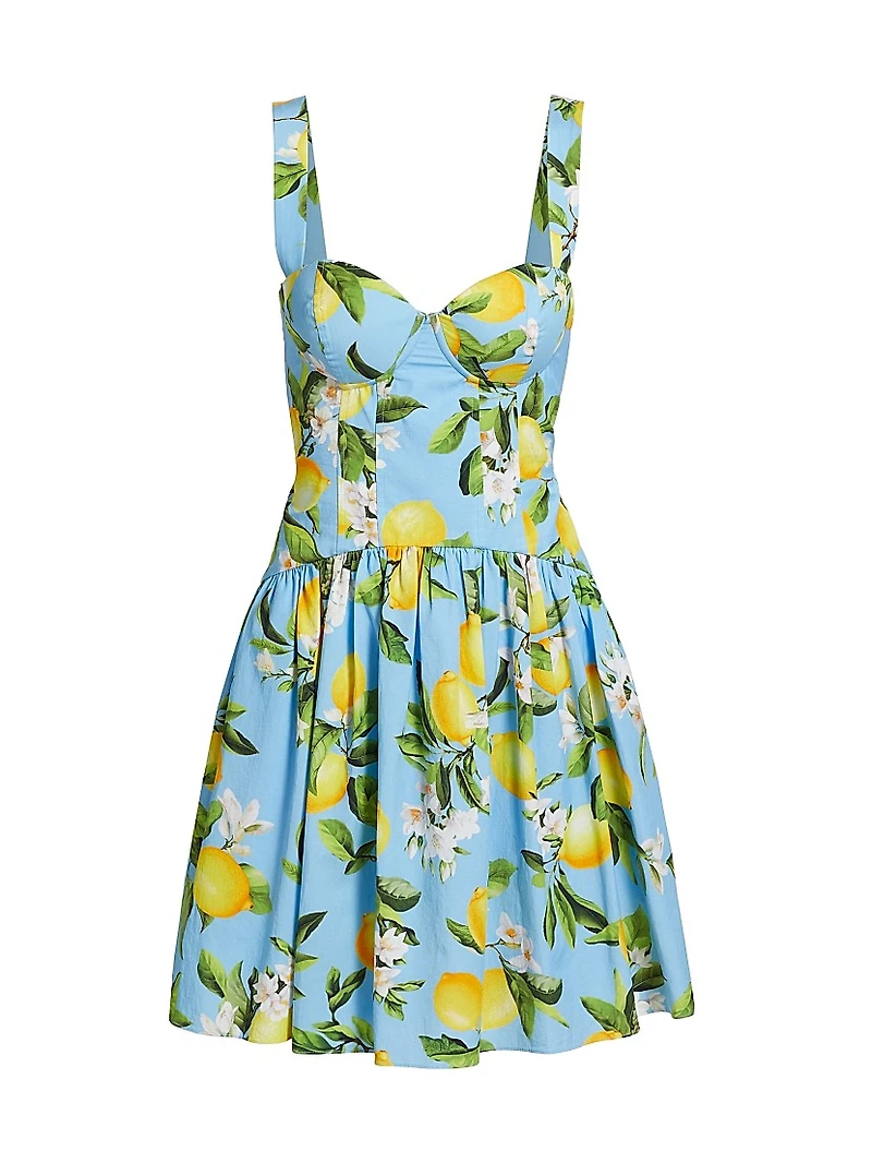 Jai Floral Cotton-Blend Minidress