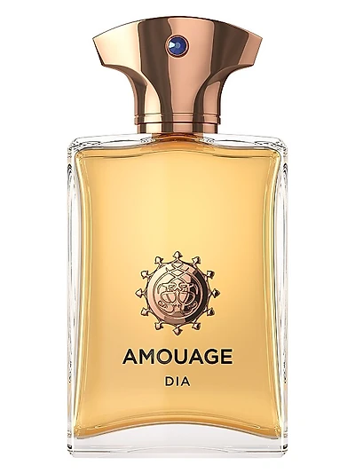 Dia Man Fragrance