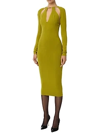 Jewel Snake Sheath Dress
