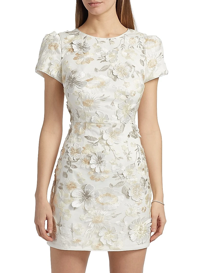 Daisy 3D Floral Embroidered Minidress