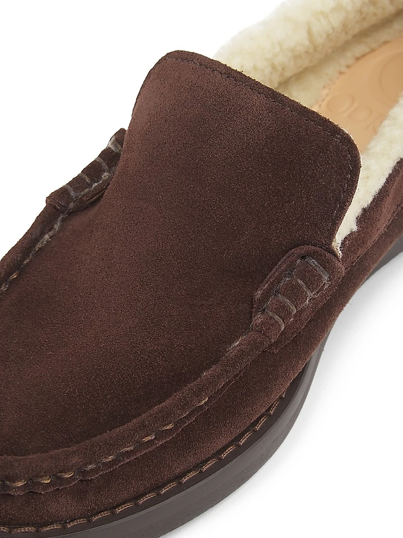 Jane Faux Shearling-Lined Suede Loafers