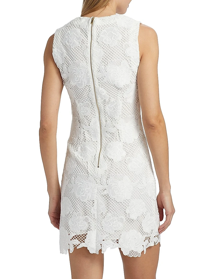 Dania Floral Mesh Minidress