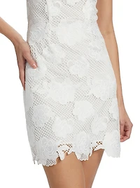 Dania Floral Mesh Minidress