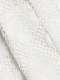 Dania Floral Mesh Minidress