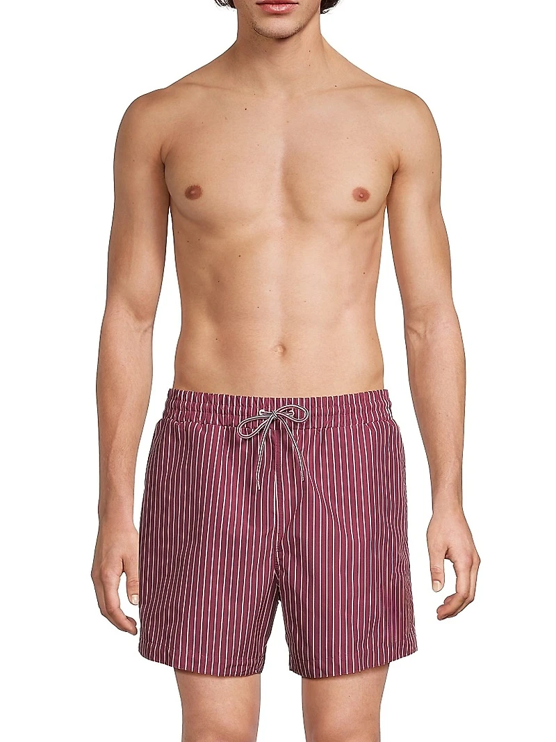 Pinstripe Printed Swim Shorts