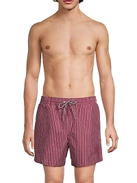 Pinstripe Printed Swim Shorts