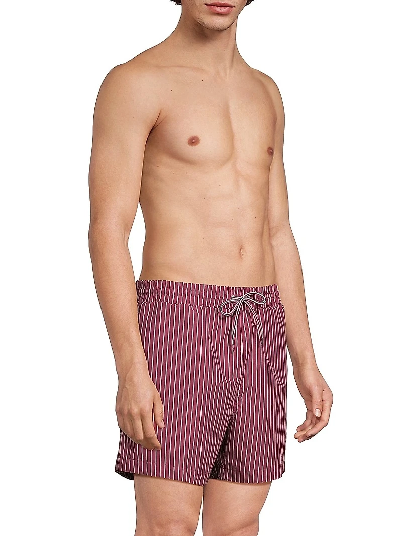 Pinstripe Printed Swim Shorts