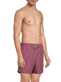 Pinstripe Printed Swim Shorts
