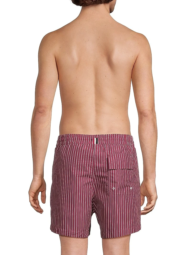 Pinstripe Printed Swim Shorts