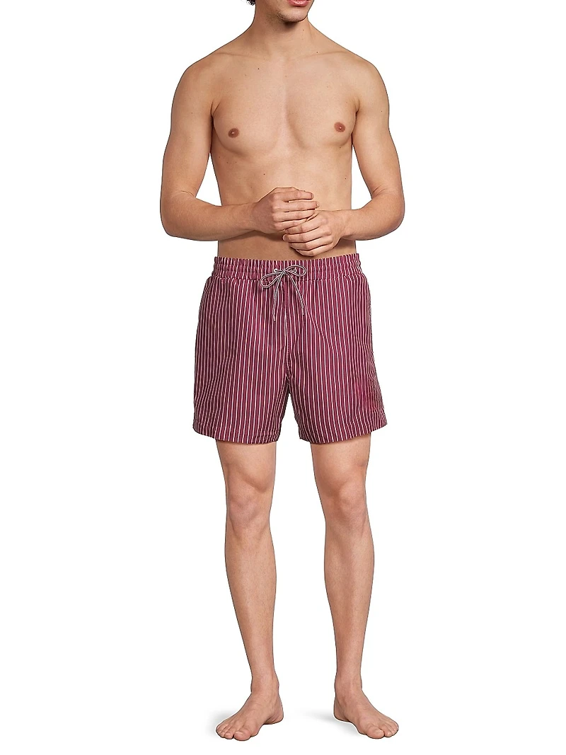 Pinstripe Printed Swim Shorts