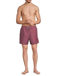 Pinstripe Printed Swim Shorts