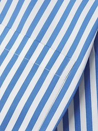 Awning Striped Poplin Button-Front Shirt
