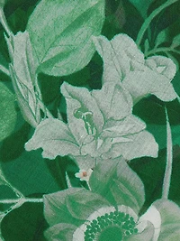 Voyager Floral Top