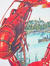 With Love From Türkiye Cotton T-Shirt