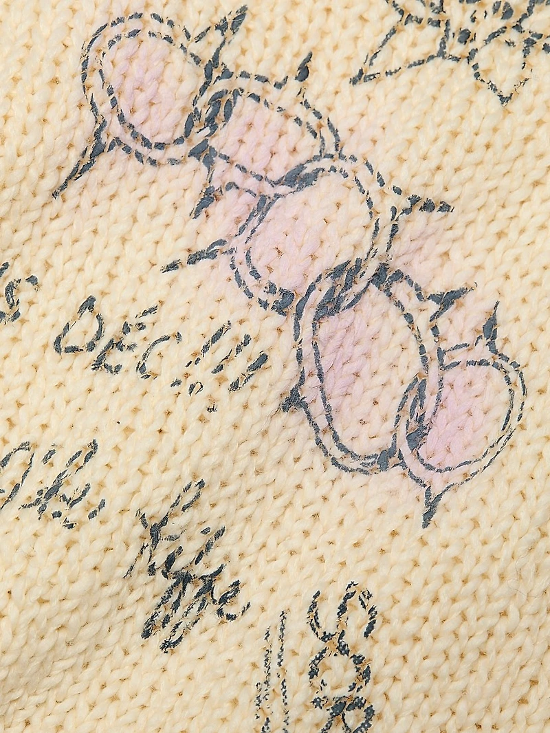 The Biggie Printed Knit Crewneck Sweater