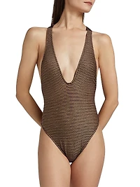 Kaia Metallic Striped One-Piece Swimsuit