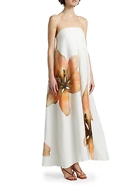 Parisa Bandeau Linen A-Line Maxi Dress