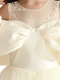 Little Girl's & Amica Dress