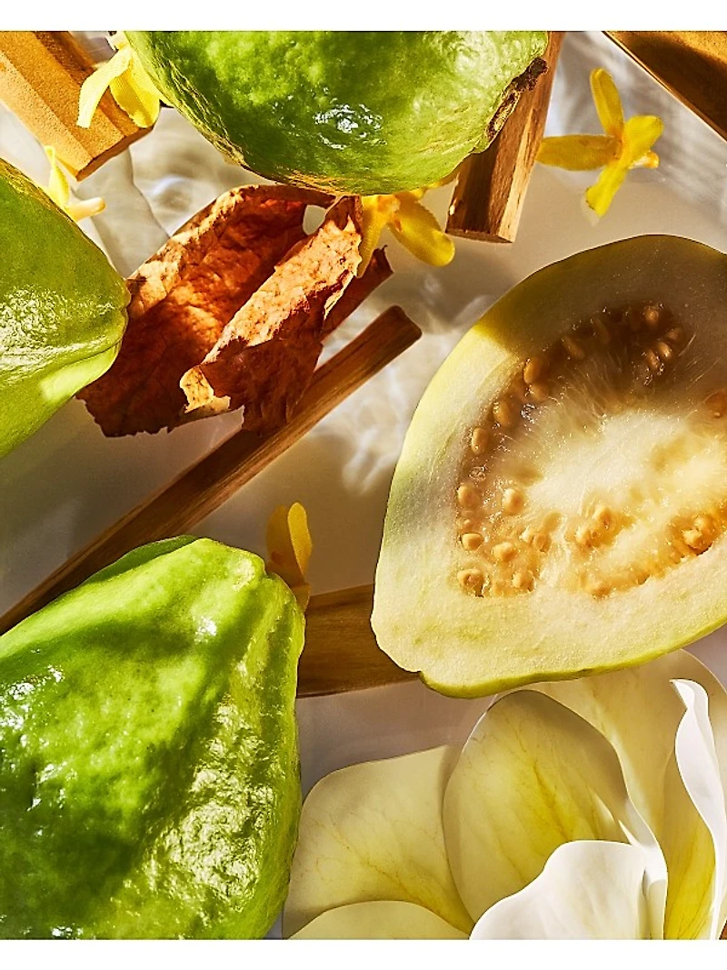 Isola Verde Eau de Parfum