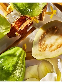 Isola Verde Eau de Parfum