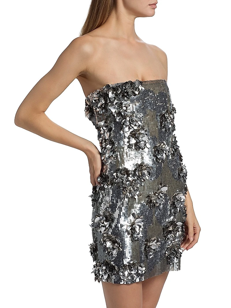 Leela Embroidered Sequined Minidress