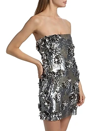Leela Embroidered Sequined Minidress