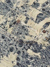 1981 Distressed Monogram Jeans