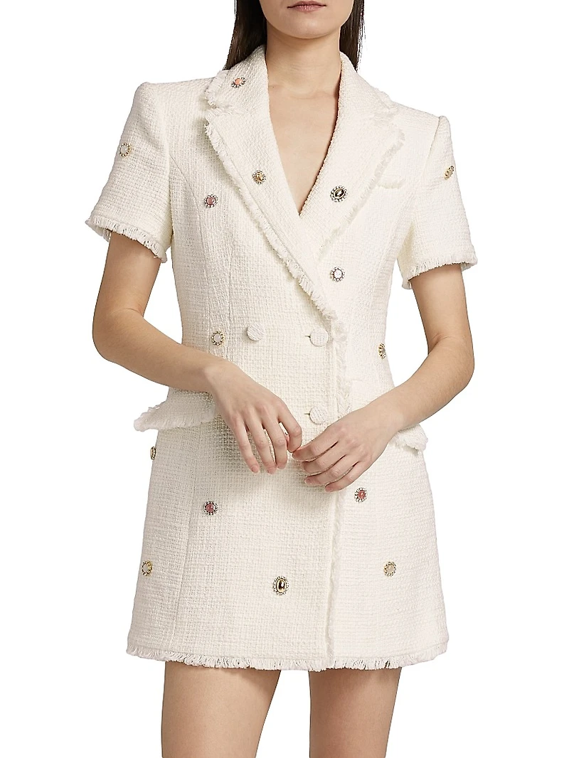 Joel Embellished Tweed Minidress