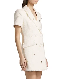 Joel Embellished Tweed Minidress