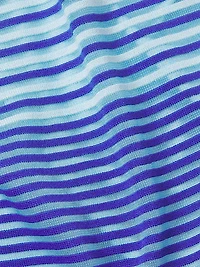 Plus Striped Sheer Boatneck Tunic Top